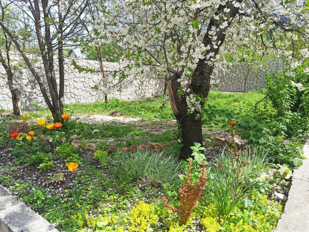 Jermatun Guest House Dilijan Εξωτερικό φωτογραφία
