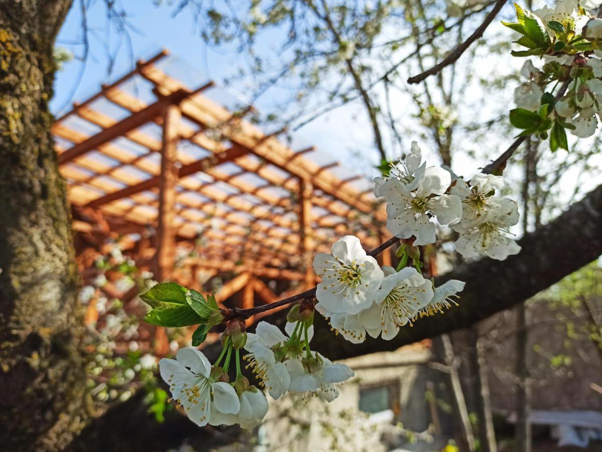Jermatun Guest House Dilijan Εξωτερικό φωτογραφία
