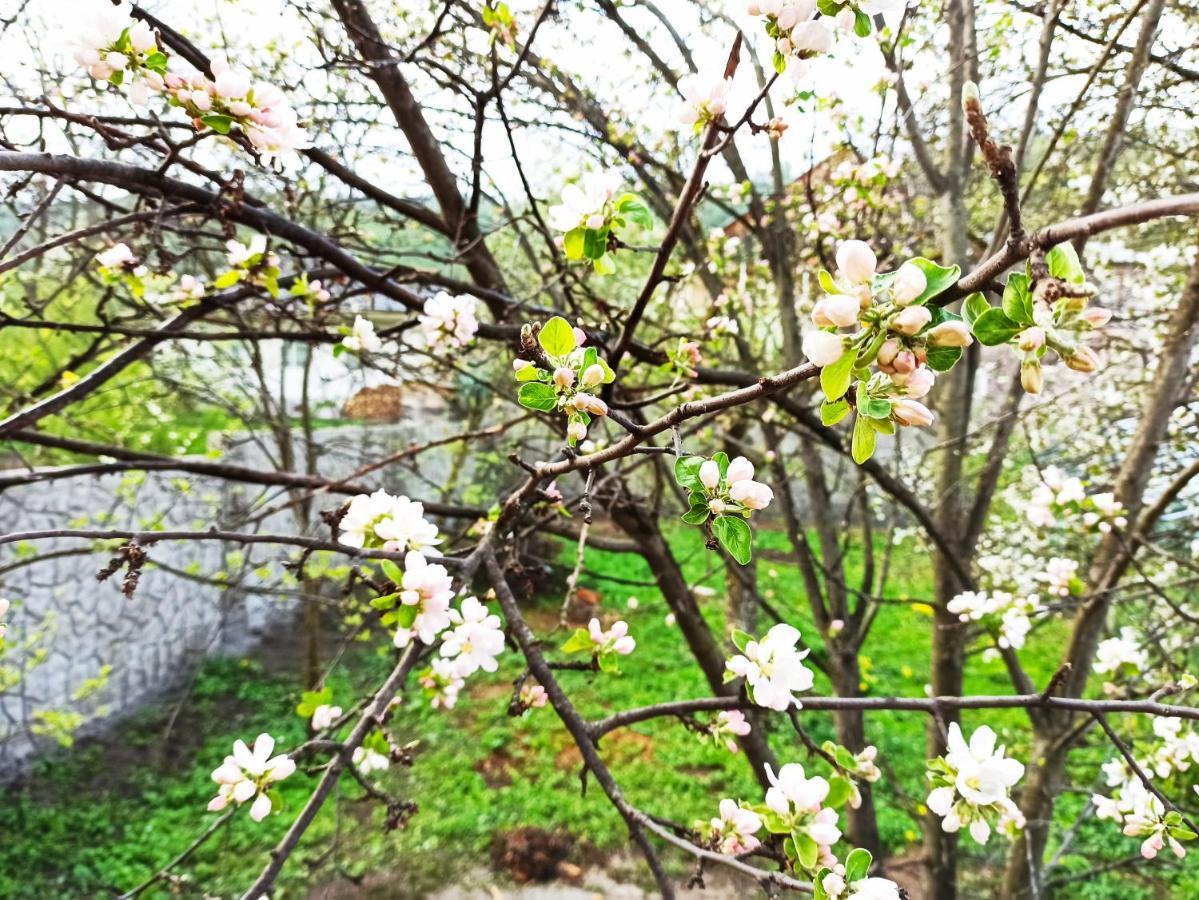 Jermatun Guest House Dilijan Εξωτερικό φωτογραφία