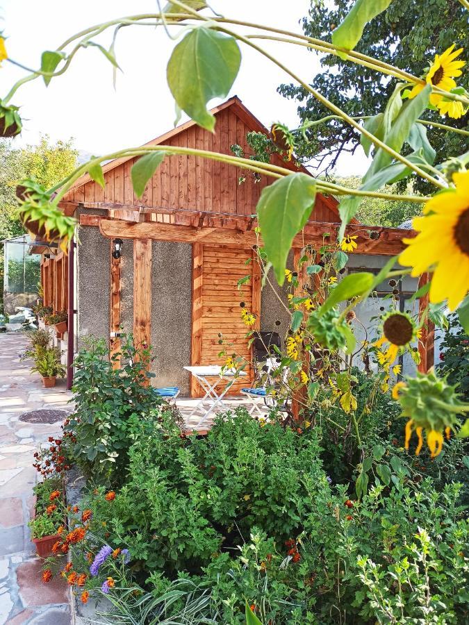 Jermatun Guest House Dilijan Εξωτερικό φωτογραφία
